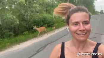 Daily run for Kenora, Ont., resident turns into magical dash with a doe and fawn