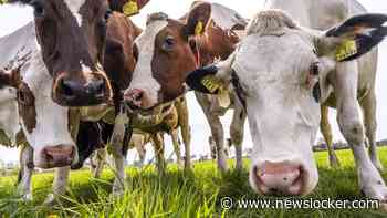 Europarlement stemt in met hulp aan boeren voor dure mest
