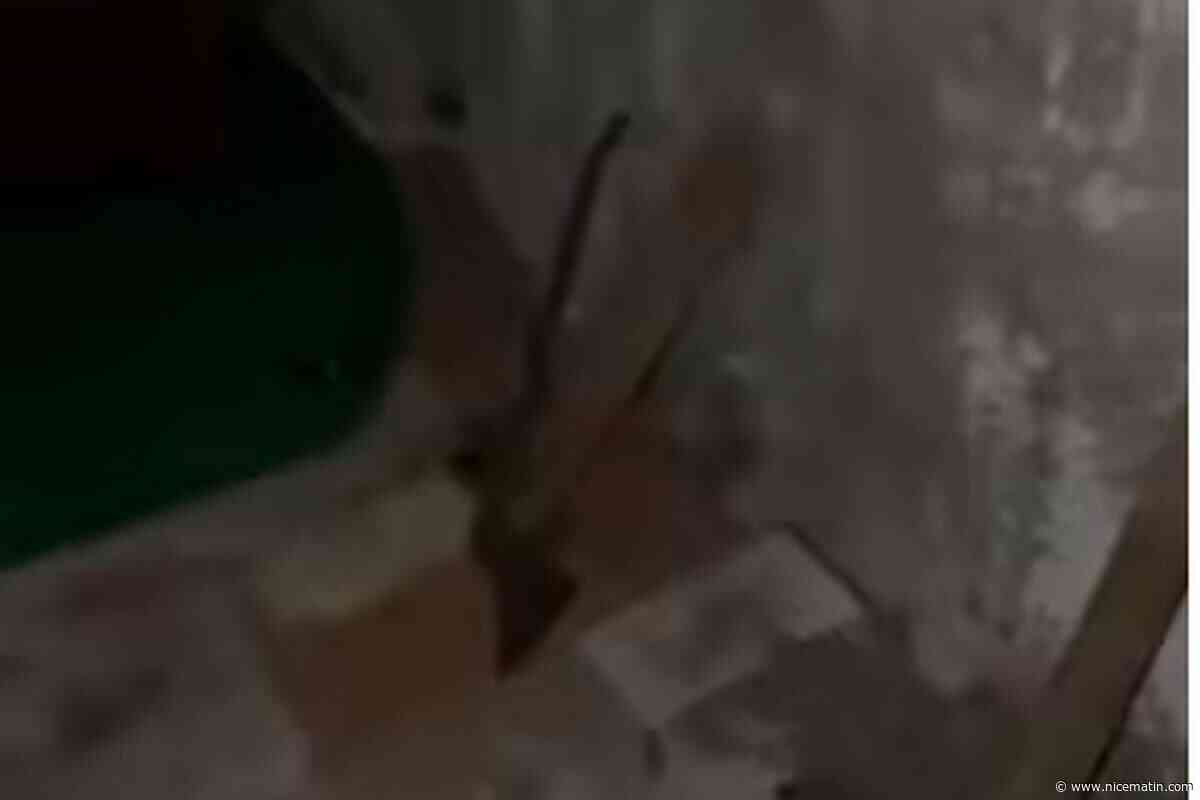 Attaque à la bombe à Monaco : ce que montrent les images de la salle de torture découverte par la police ukrainienne