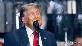 The Memo: Sea of tensions awaits Trump at NATO summit