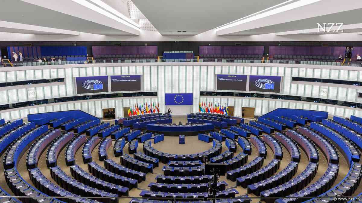 Das EU-Parlament stimmt für ein Verfahren gegen die AfD-Parteifamilie