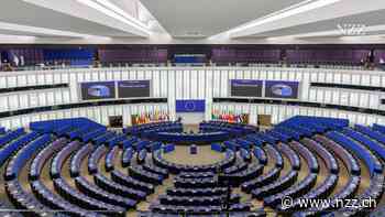 Das EU-Parlament stimmt für ein Verfahren gegen die AfD-Parteifamilie