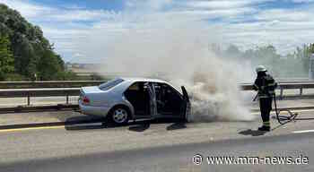 Landau – A65: Pkw-Brand