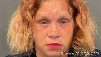 Midwest woman, 37, filmed herself sexually assaulting two babies - then emailed prosecutors offering to turn herself in, cops say