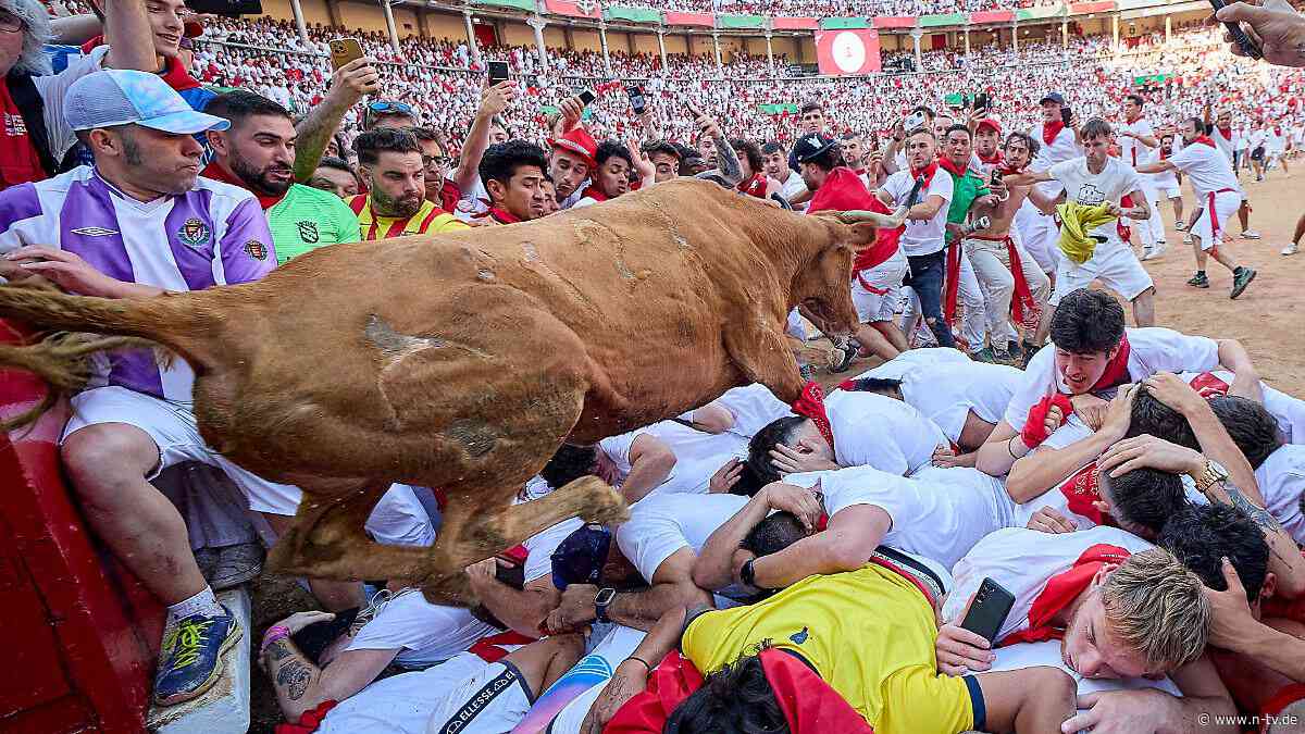 Umstrittenes Kultfest: Spanische Stierhatz startet - Tradition oder Tier-Folter?
