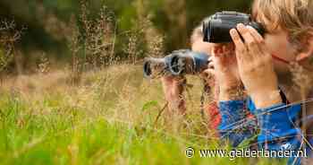 Speuren naar wild in Nationaal Park Veluwezoom