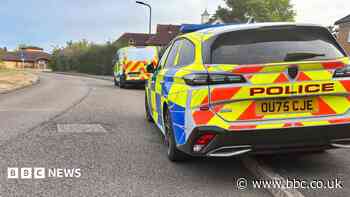 Murder inquiry after mother and children found dead