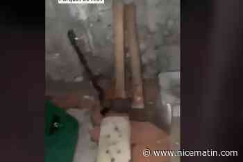 Explosion à Monaco : ce que montrent les images de la salle de torture découverte par la police ukrainienne