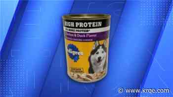 Pedigree recalls dog food over sharp metal and plastic pieces