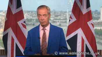 Nigel Farage quits Parliament - live updates