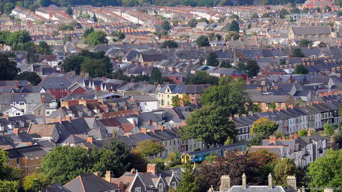 All the candidates running in Splott by-election as Labour fight to keep seat