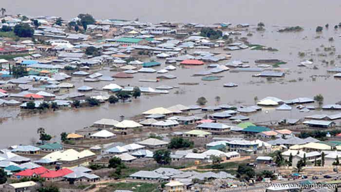 Over 18m Nigerians exposed to flooding, NiHSA warns