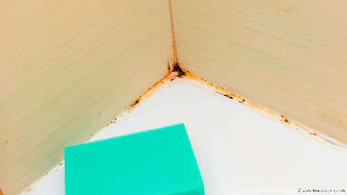 Mould will not grow in bathrooms if you have 1 item that naturally absorbs damp