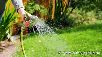 Rasen nach der Hitze retten: Mit diesen Tipps wird Ihr Garten wieder grün