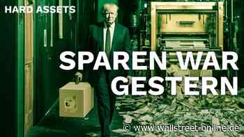Die Wahrheit hinter DOGE: Die große USA-Spar-Show ist vorbei: Warum Sachwerte jetzt entscheidend werden