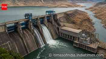 El Nino impact: India’s hydropower generation sees steepest drop since Feb 2024; piles pressure on grid