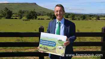 NI farmers offered grants of up to £25k under new £40m scheme