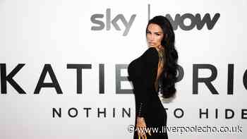 How to watch new Katie Price Nothing to Hide documentary