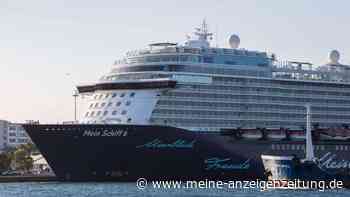 Kreuzfahrtschiff von Plage heimgesucht – Passagiere fliehen unter Deck