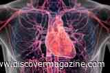 Heart Function May Predict Early Brain Changes Linked to Memory Decline