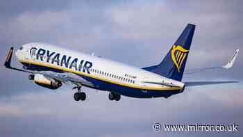 Ryanair flight declares mid-air 'low fuel' emergency after chaos at major airport