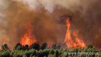 Foreign Office updates France travel advice as country hit by wildfires ahead of summer