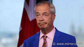 'Nigel Farage's resignation is a cynical stunt dressed up as democracy'