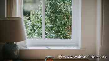 Windowsill trick explained to keep home cool from Wednesday, July 8