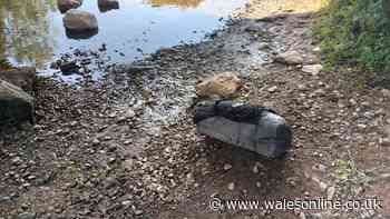 Appalling discovery inside Adidas bag weighted down in Welsh river