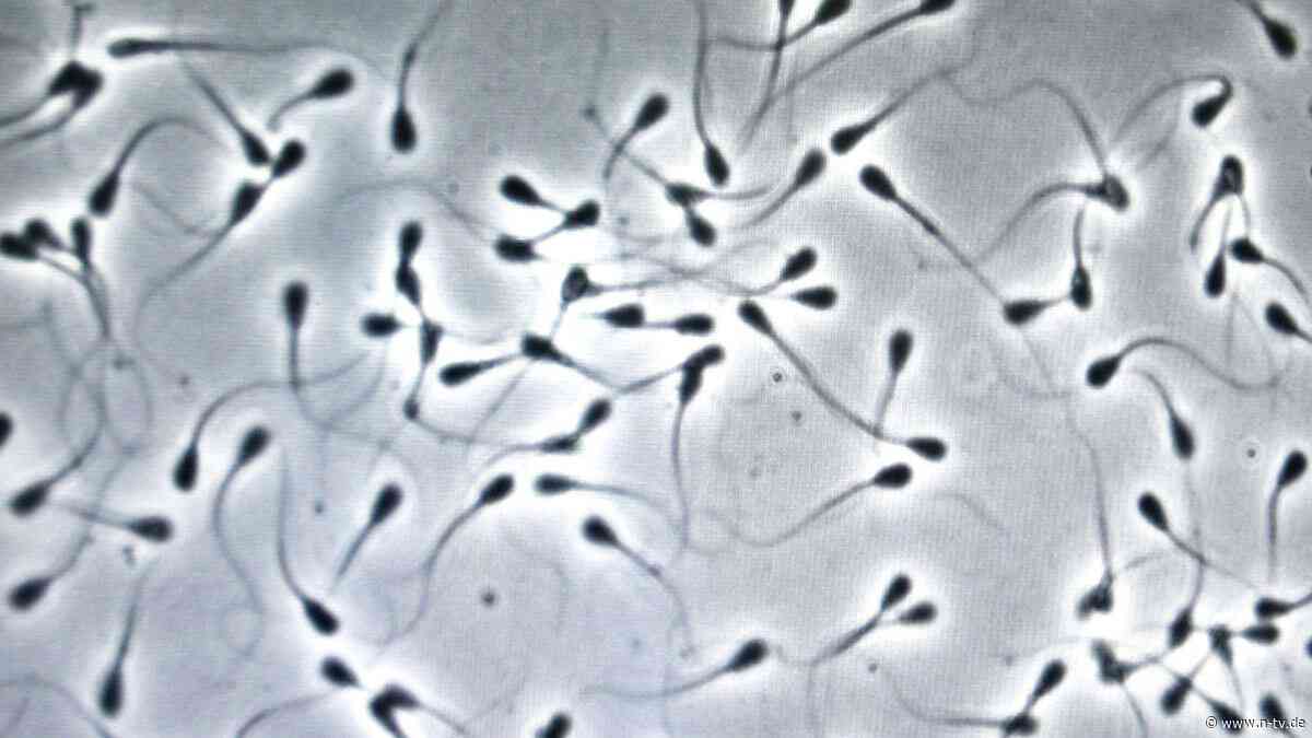 Folgen für die Nachkommen?: Studie: Luftverschmutzung hinterlässt Spuren an Spermien-DNA