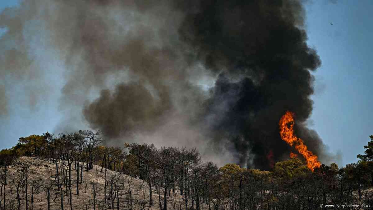 Foreign Office issues 'high risk' warning for France as wildfires rage across Europe