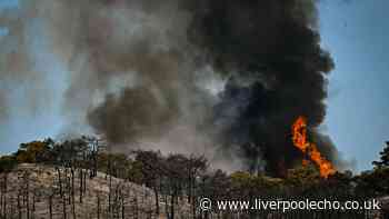 Foreign Office issues 'high risk' warning for France as wildfires rage across Europe