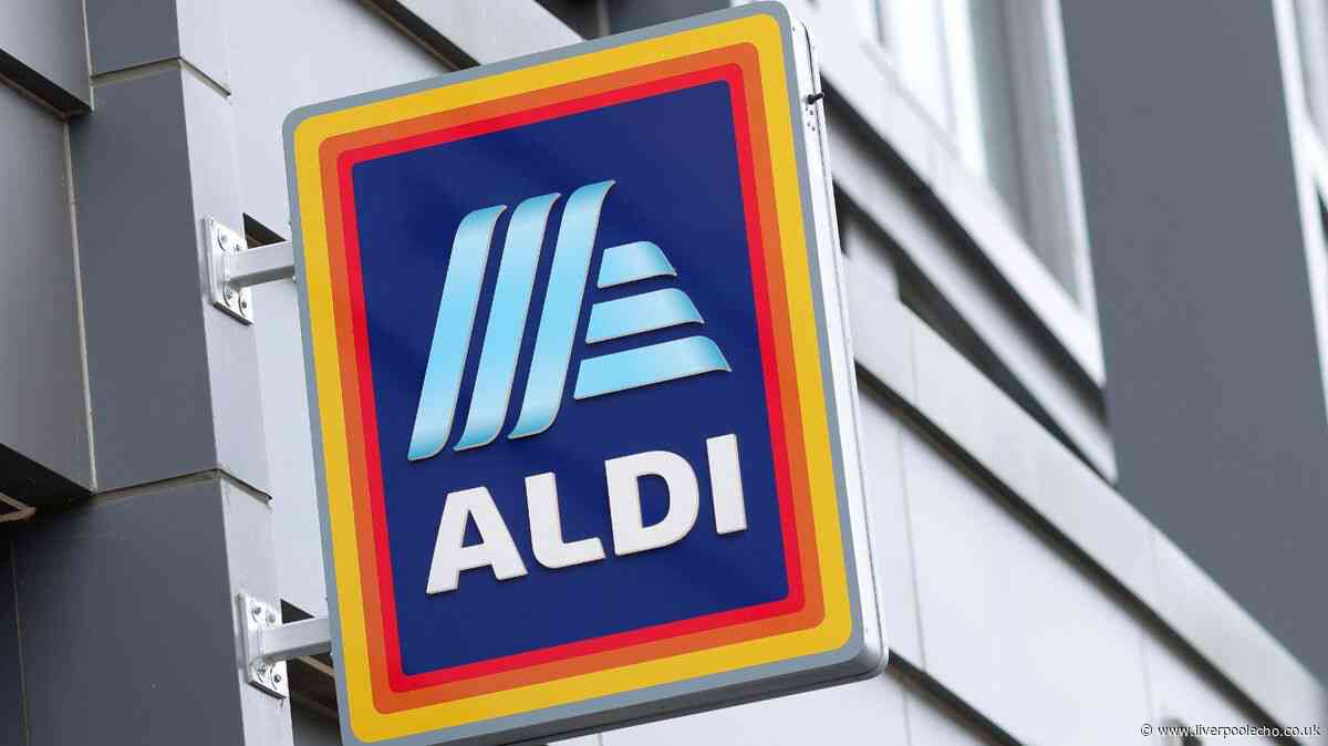 Aldi brings back 'sell out' £40 item in time for summer