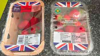 I tried Sainsbury's Taste the Difference strawberries against cheapest to see if they're worth it