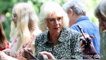 Queen Camilla commemorates 100 years of Winnie the Pooh as she competes in sweet game