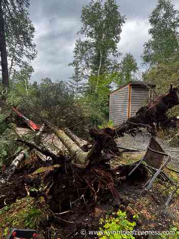 Cleanup ‘staggering’ as severe storm slams Whiteshell, Kenora