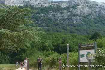 Les massifs de la Sainte-Baume et du Haut-Var interdits au public ce mercredi 8 juillet à cause d’un risque incendie « très sévère »