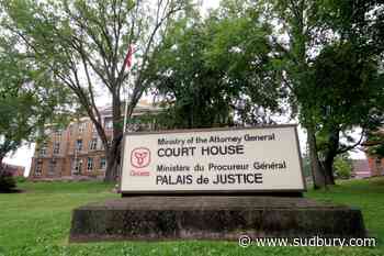 Markstay-Warren man pleads guilty after unusual incidents in Blind River