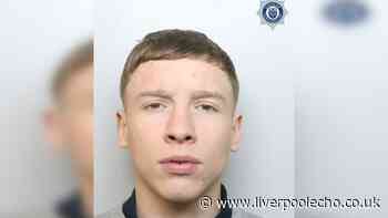 Bungling burglar caught on camera nicking BMW from driveway