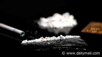 Just ONE hit of cocaine 'rewires' the brain and may increase risk of addiction, study suggests