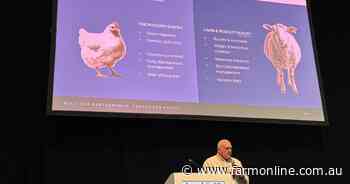 Boosting lamb efficiency: a chicken-and-egg solution to drive profitability