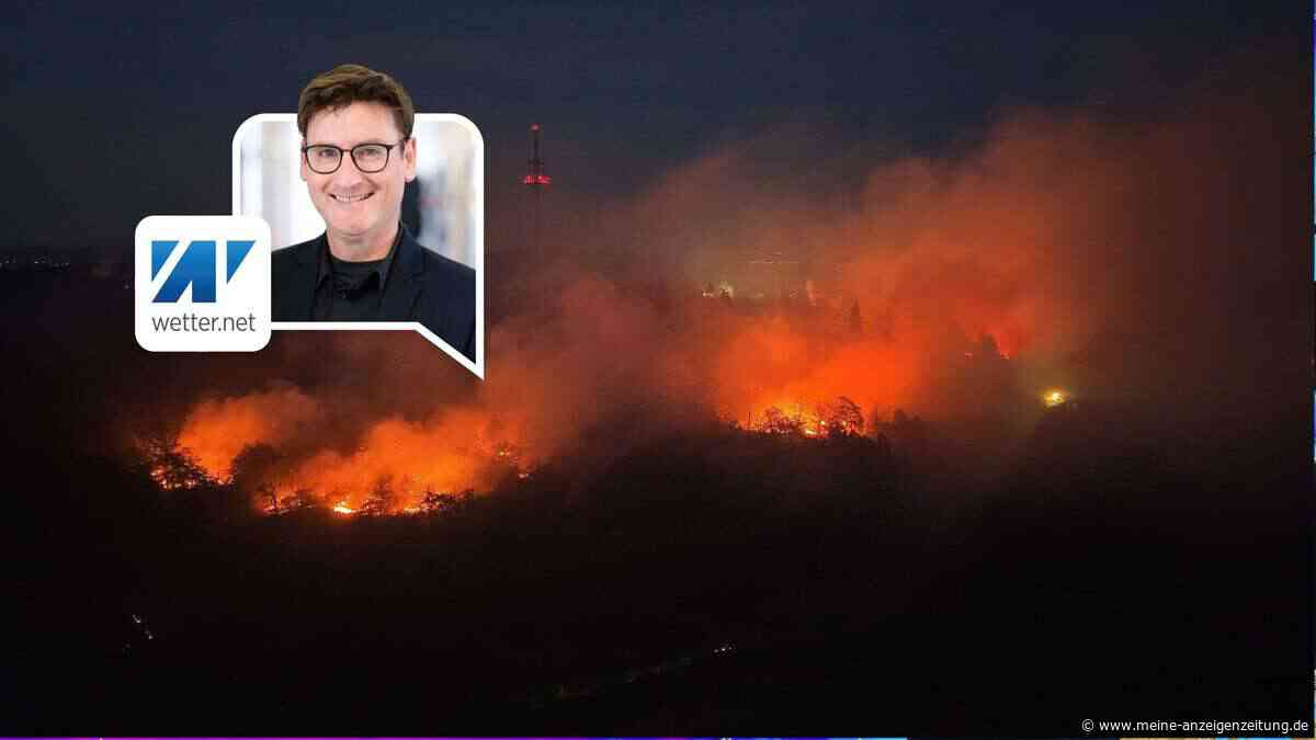 Waldbrandgefahr in Deutschland steigt: Wetter treibt Risiko auf höchste Warnstufe