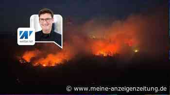 Waldbrandgefahr in Deutschland steigt: Wetter treibt Risiko auf höchste Warnstufe