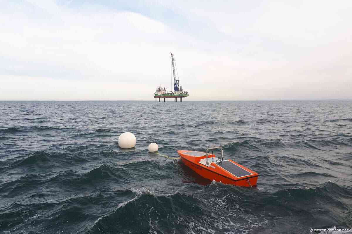 « Tout a commencé ici à Monaco » : Sinay, la start-up qui transforme les données en ressources utiles pour la protection des océans