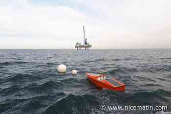 « Tout a commencé ici à Monaco » : Sinay, la start-up qui transforme les données en ressources utiles pour la protection des océans