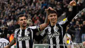 Newcastle United's shock signing gives them green light to unleash forgotten star