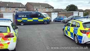 Police recover firearms and ammunition in Wallsend raid as four arrested - key details