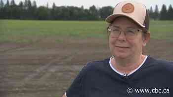 Manitoba farmers face 'huge devastation in crops' from incessant rain, floods