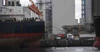 Grain producer groups remain opposed on future for wheat port access codes