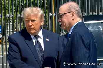 Trump Appears 'Disoriented' as Turkish President Erdogan Guides 'Wandering' President at NATO Summit